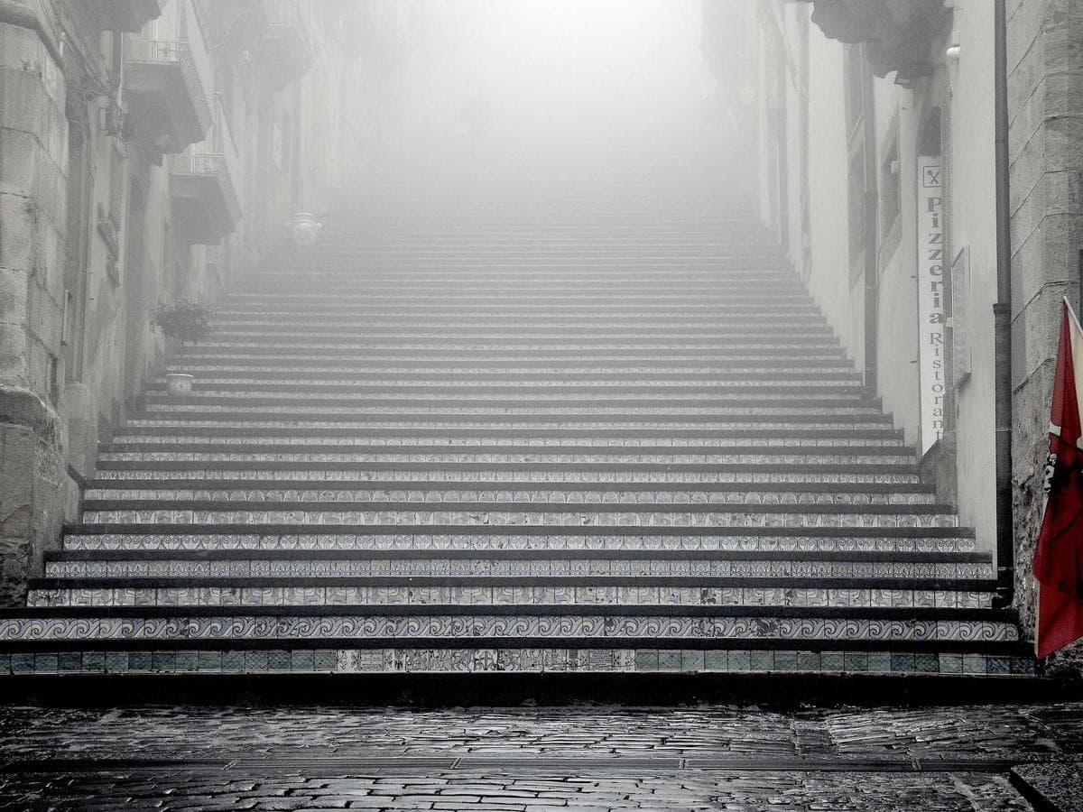 与曼塔鱼同游：日出前的偶遇