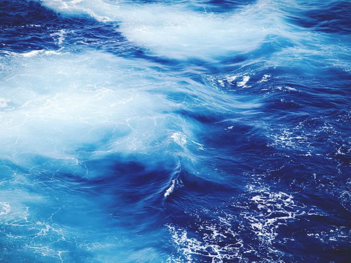 水上套房的72小时纯粹生活